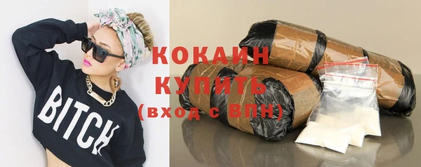 прущие грибы Михайлов