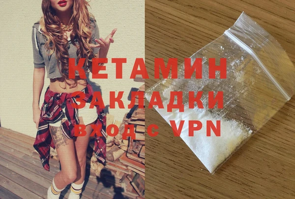 прущие грибы Михайлов