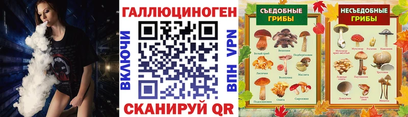 Галлюциногенные грибы мицелий  Голицыно 